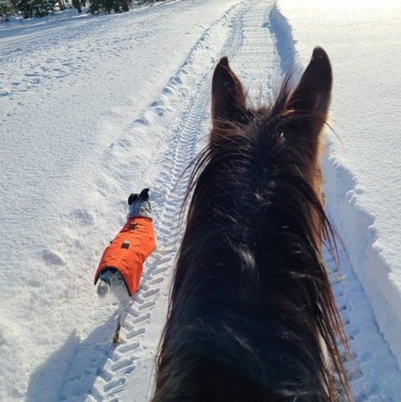 Meet your Posher, Theresa - Picture 1 of 1